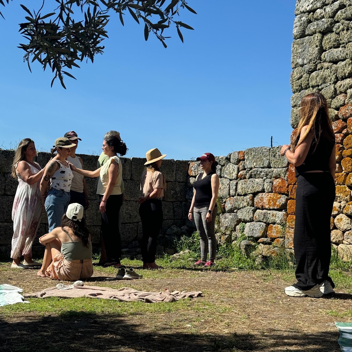 Terapia sistémica em grupo